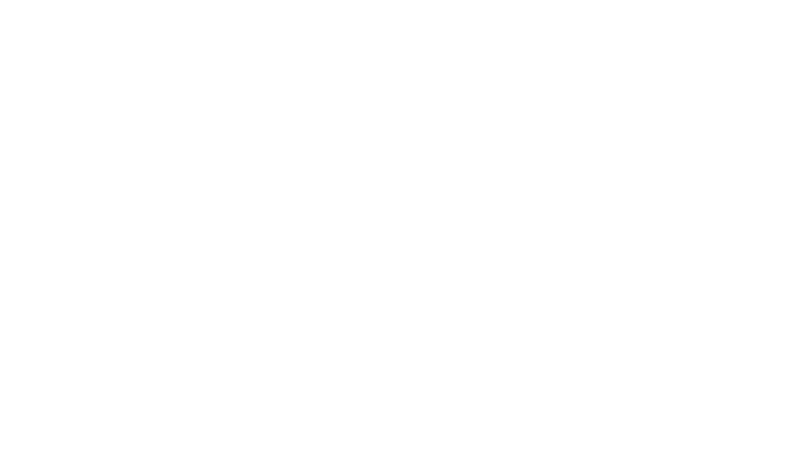 alventa logo rgb white 800px